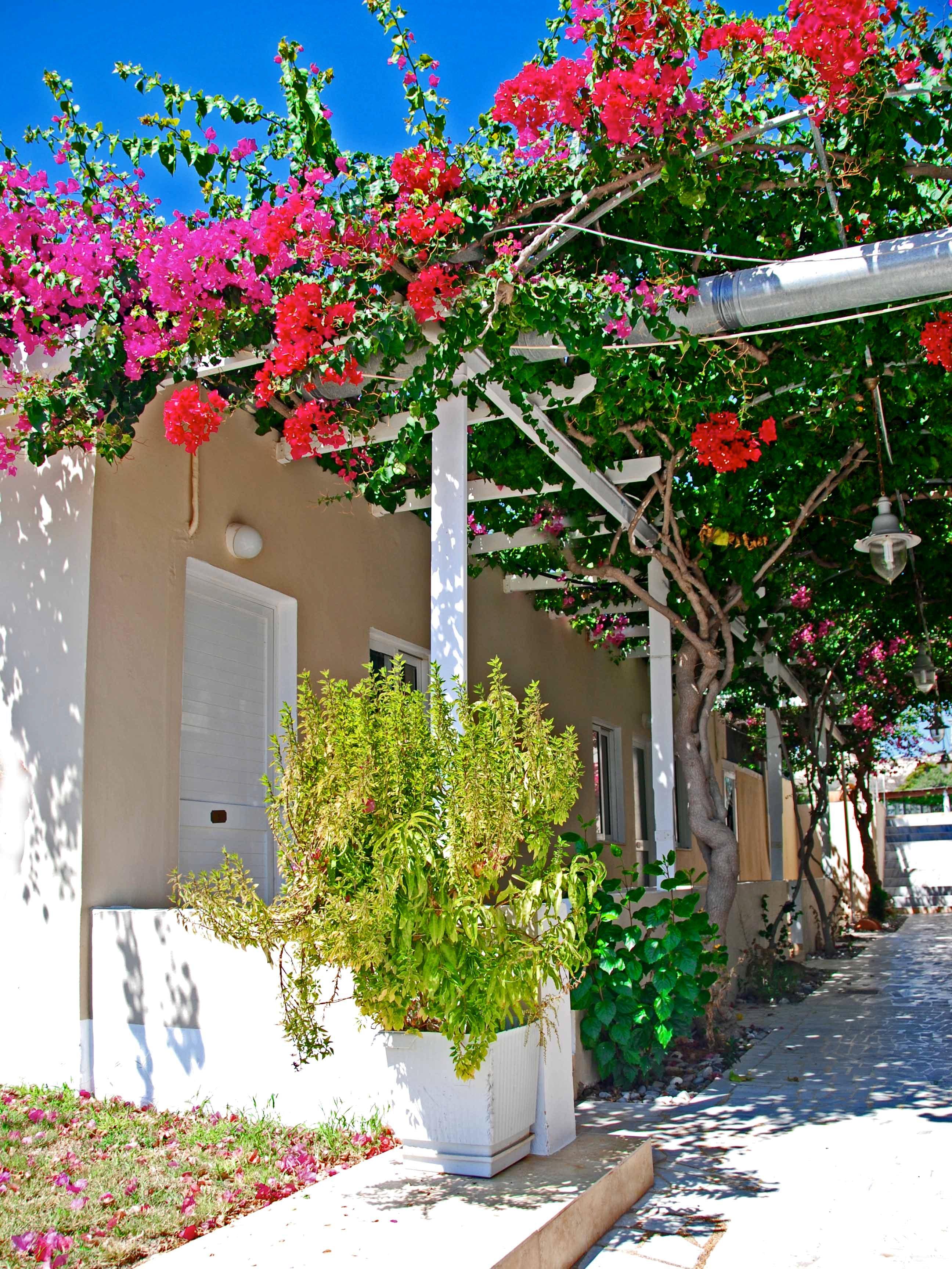Sacallis Inn Beach Hotel Kefalos  Exterior photo